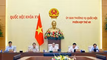 Chủ động, linh hoạt, dám nghĩ, dám làm để thực hiện thắng lợi nhiệm vụ đề ra