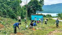 Đà Nẵng đẩy mạnh trồng rừng, bảo vệ “lá phổi xanh”