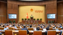 Cử tri đánh giá cao việc điều tra, triệt phá các vụ sữa giả, thuốc giả