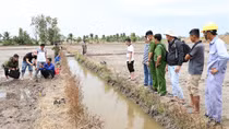Mang kích điện đi bắt cá, vướng vào lưới điện diệt chuột tử vong