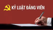 Kỷ luật các tổ chức và cá nhân vi phạm tại tỉnh Kiên Giang