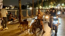 Người đàn ông phát bệnh dại sau 6 tháng bị chó cắn