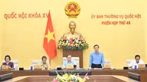 Thông qua Nghị quyết định mức khoán chi đối với các hoạt động xây dựng pháp luật