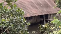 Đồng Tháp: Hai mẹ con tử vong trong căn nhà ngập nước