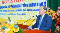 Doanh nghiệp “đau đáu” mong giảm lãi suất, hạ tỷ giá