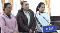 Học vấn lớp 5, làm giả sổ đỏ “qua mặt” nhân viên ngân hàng