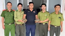 Phát hiện 2 rùa núi vàng quý hiếm bò bên đường, người dân giao nộp Công an