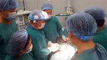 Hơn nửa thế kỷ trao gửi yêu thương