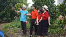 Agribank chi nhánh Vĩnh Long hỗ trợ nông dân chuyển đổi, phát triển nông nghiệp bền vững