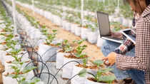 Doanh nghiệp công nghệ “xắn tay” phát triển nông nghiệp