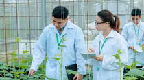 Cần tạo ra một “khoán 10” mới trong khoa học công nghệ