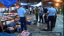 Vụ lợn dịch làm nóng phiên chất vấn HĐND TP Hà Nội