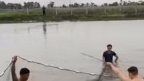 Hai học sinh tiểu học ở Hải Phòng đuối nước thương tâm