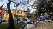 Hà Nội nói gì về thông tin đốn hạ, dịch chuyển nhiều cây xanh cạnh Hồ Gươm?