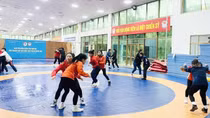 Vật Việt Nam trăn trở tìm lại vị thế