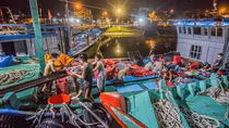 Đầu năm rộn ràng những chuyến biển bội thu
