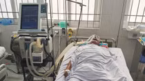 Ăn cá nóc, 4 người ở Cà Mau bị ngộ độc