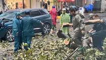 TP Hồ Chí Minh: Dông gió giật cấp 9, mưa nhiều nơi khiến hàng loạt cây xanh đổ ngã