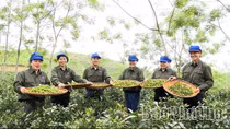 Hướng tới nền nông nghiệp hiện đại, chất lượng và giá trị cao