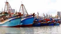 TP Hồ Chí Minh quyết liệt ngăn tàu cá không đủ điều kiện hoạt động