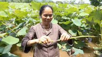 Người giữ hồn lụa tơ sen