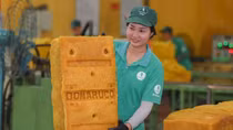 VRG đáp ứng EUDR, tiên phong chứng nhận cao su phát thải thấp