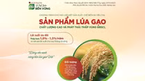 Agribank triển khai chương trình tín dụng ưu đãi phục vụ Đề án 1 triệu hecta lúa, phát thải thấp vùng ĐBSCL