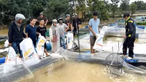 Huế khẩn trương khôi phục sản xuất, ổn định đời sống người dân sau bão lũ