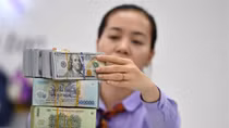Giải pháp ứng phó với biến động tỷ giá