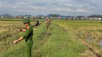 Tăng cường tuyên truyền, kiểm tra, xử lý hành vi đánh bắt chim di cư