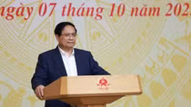 Thủ tướng chủ trì Phiên họp thứ 16, Ban Chỉ đạo chống khai thác IUU