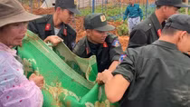 Đang làm vườn, một nông dân bị đất đá vùi lấp