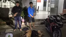 Truy quét, xóa sổ vấn nạn “cẩu tặc”