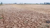 Hỗ trợ tỉnh Ninh Thuận 1,9 tỷ đồng để ứng phó với hạn hán