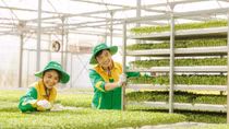 Cách Masan số hóa hạ tầng thị trường bán lẻ năm 2024