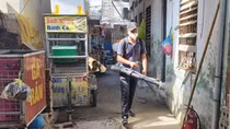 Nữ giáo viên tử vong vì bệnh sốt xuất huyết, Hải Phòng chỉ đạo quyết liệt dập dịch