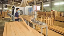 Tận dụng cơ hội để xuất khẩu trực tuyến