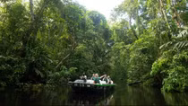 Costa Rica, từ thiên đường du lịch trở thành trung tâm “logistics” ma túy