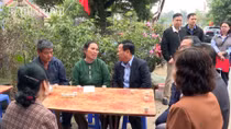 Vụ 4 thanh thiếu niên chết trên cao tốc Nội Bài - Lào Cai: Xử lý trách nhiệm của các tổ chức, cá nhân liên quan