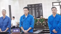 Hơn 100 tấn thuốc bắc đội lốt mơ, táo, hạt điều... vào Việt Nam