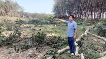 Gia đình người Nùng hiến 1,7ha đất làm đường giao thông