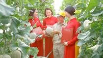 Agribank dành trên 180.000 tỷ đồng vốn ưu đãi lãi suất thấp hỗ trợ khách hàng sản xuất, kinh doanh