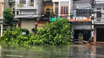 Khẩn trương cấp điện trở lại khi bão đi qua