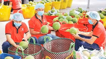 Xuất khẩu nông sản tăng