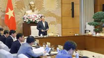 Cho ý kiến dự án Luật Công nghiệp quốc phòng, an ninh và động viên công nghiệp