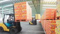 Tân Hiệp Phát xây dựng chuỗi giá trị từ sản xuất - kinh doanh, sẵn sàng phụng sự xã hội
