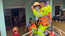 Tuyệt đối không sử dụng gia súc, gia cầm chết trong mưa lũ làm thức ăn