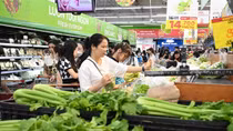 Lũ rút nhiều ngày, vì sao giá rau xanh tại Hà Nội vẫn “đắt hơn cá, thịt”?
