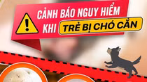 Bé trai phát bệnh dại nguy kịch sau khi bị chó nhà cắn 1 tháng