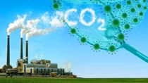 Xây dựng và triển khai Đề án ứng phó với cơ chế điều chỉnh biên giới carbon